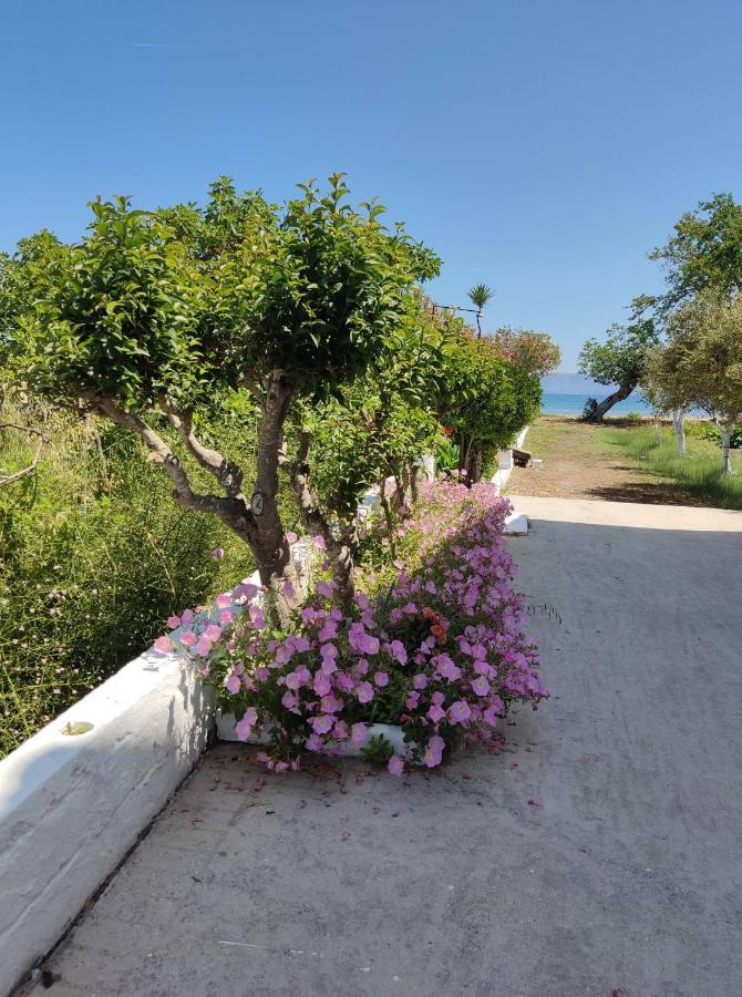 Cavos Sunrise Beach Apartments Kavos Exterior photo